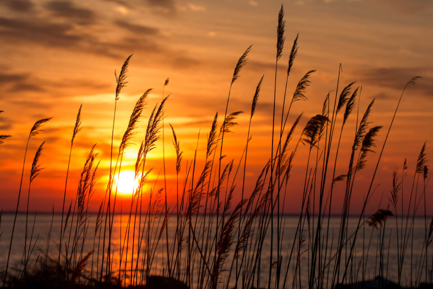 Let's turn commitments into progress for the Chesapeake Bay